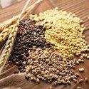 Cereals & Food Grains